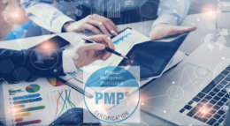 Project Management Professional Certification