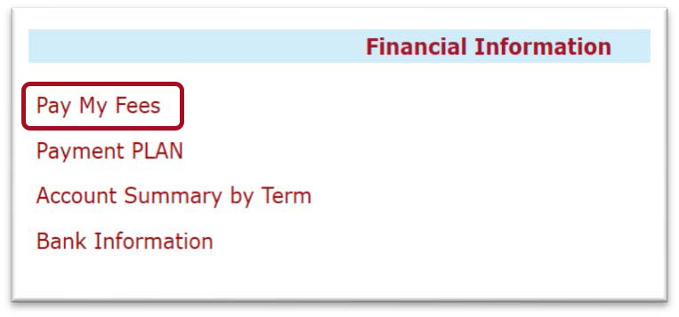 Financial information menu section with four different links below. Red box highlighted around Pay My Fees link.